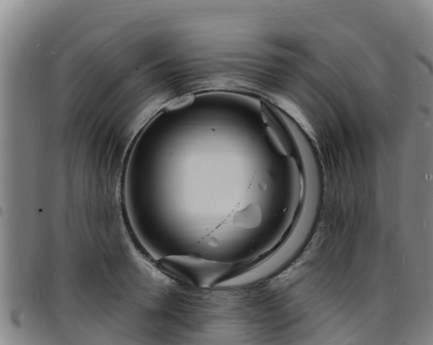 X0000096390946200801311318