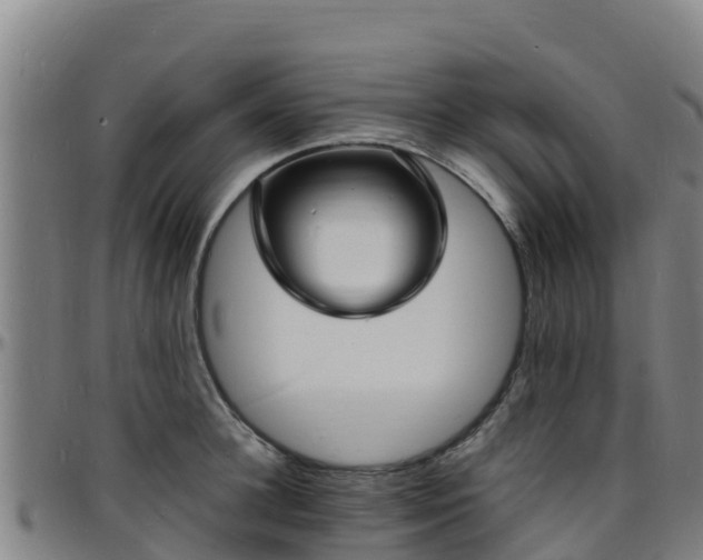 X0000096390948200801311318