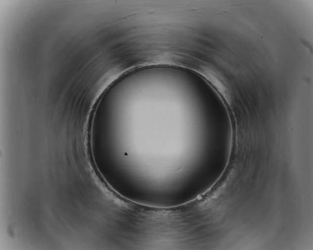 X0000096390949200801311318