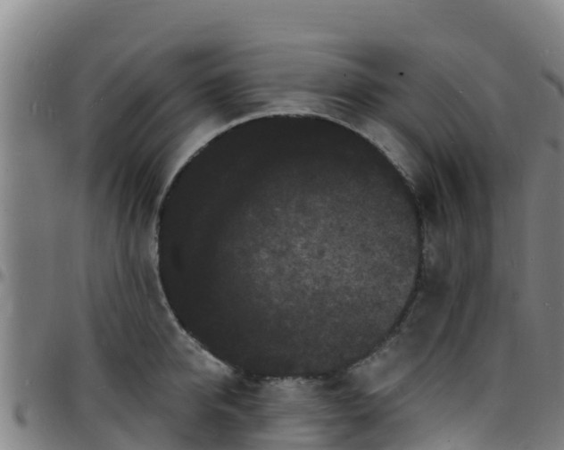 X0000096390950200801311318