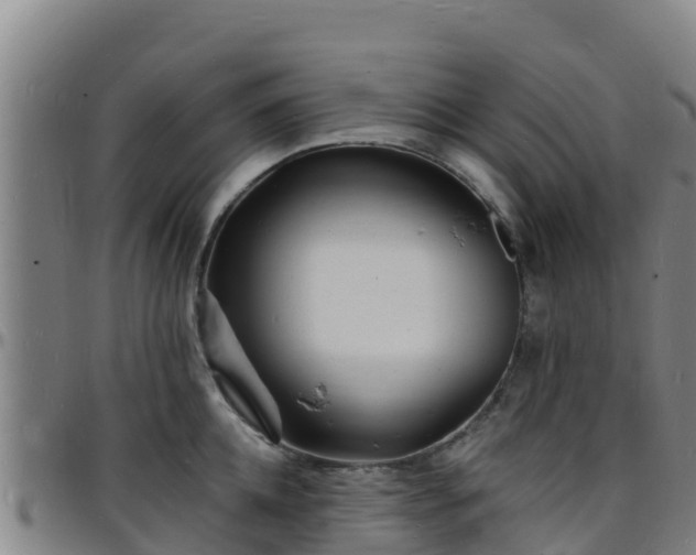 X0000096390952200801311318