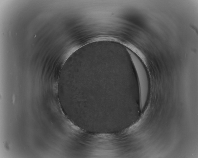 X0000096390953200801311318