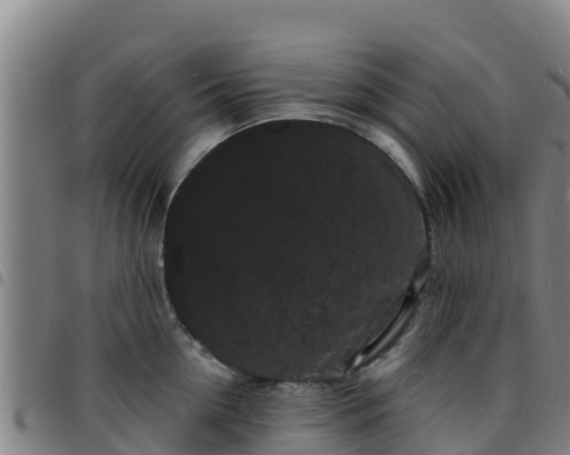 X0000096390954200801311318