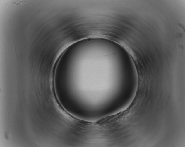 X0000096390955200801311318