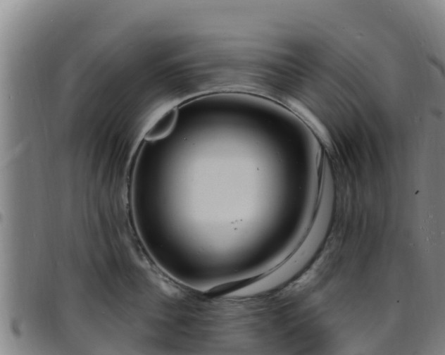X0000096390956200801311318