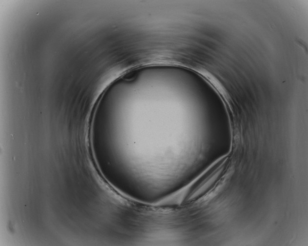 X0000096390957200801311318