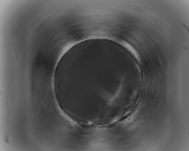 X0000096390958200801311318
