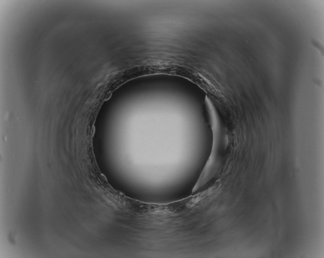 X0000096390961200801311318