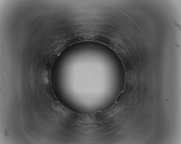 X0000096390962200801311318