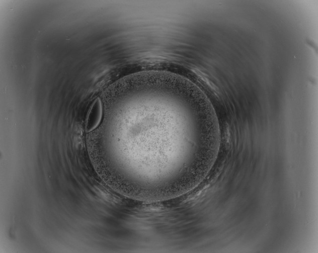 X0000096390964200801311318
