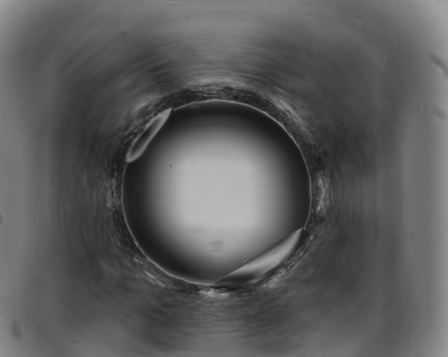 X0000096390965200801311318
