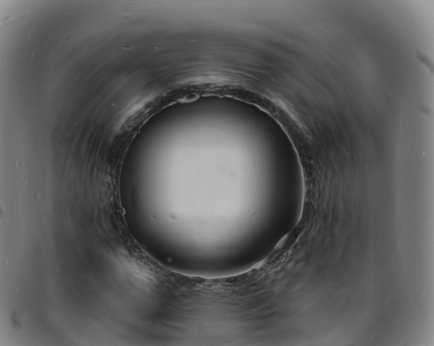 X0000096390967200801311318