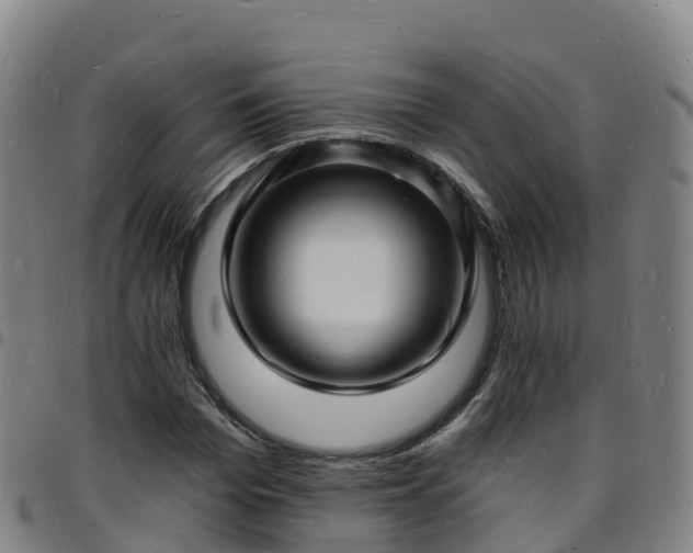 X0000096390969200801311318