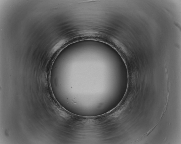 X0000096390970200801311318