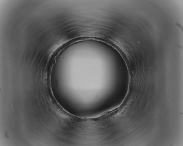 X0000096390971200801311318