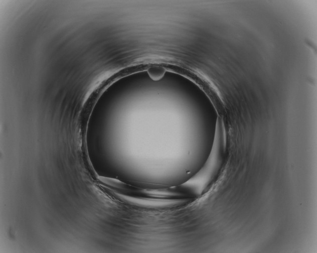 X0000096390973200801311318