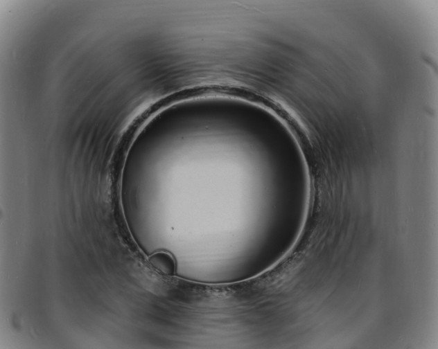 X0000096390975200801311317