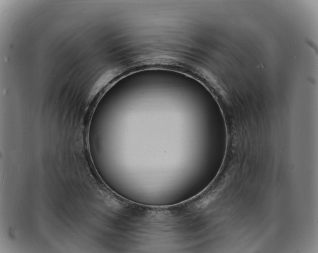 X0000096390978200801311317