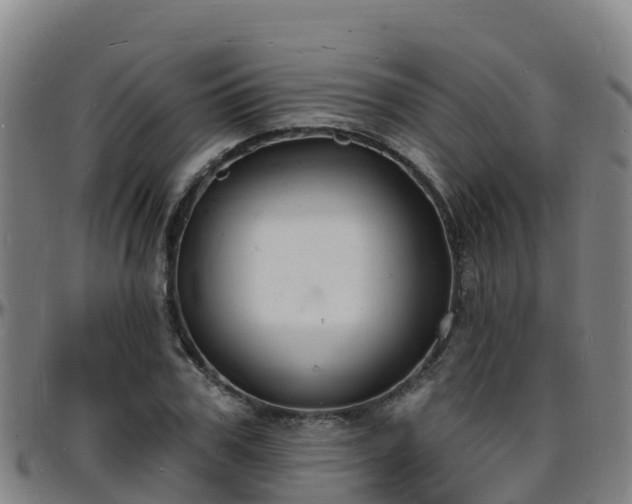 X0000096390979200801311317
