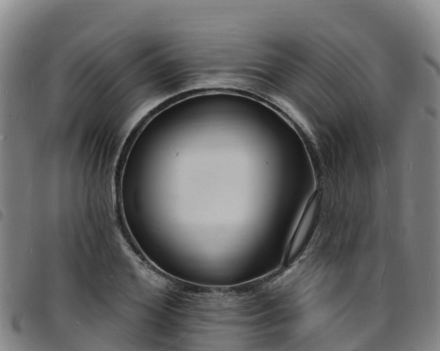 X0000096390980200801311317