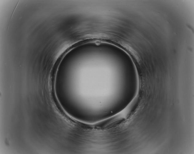 X0000096390983200801311317