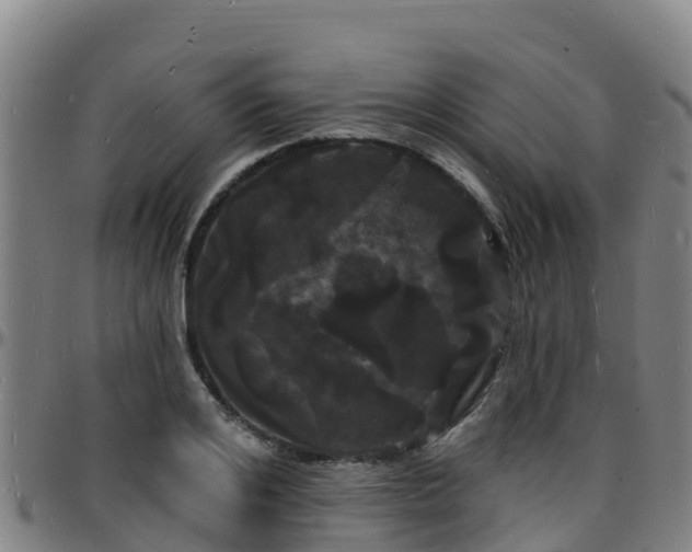 X0000096390984200801311317