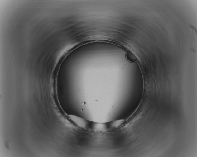 X0000096390987200801311317