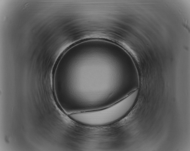 X0000096390988200801311317