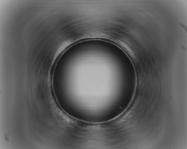 X0000096390990200801311317