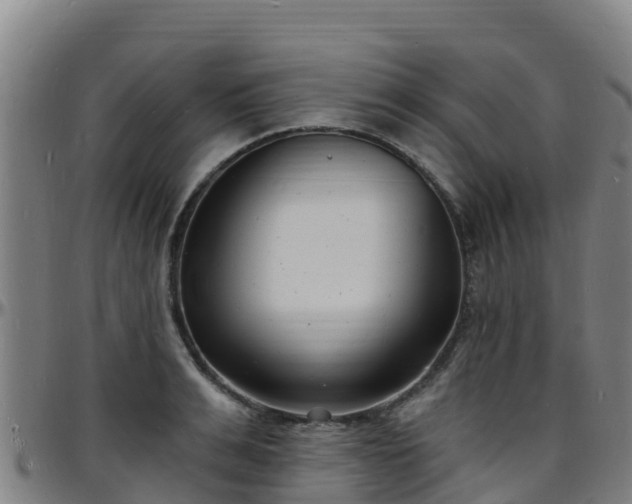 X0000096390991200801311317