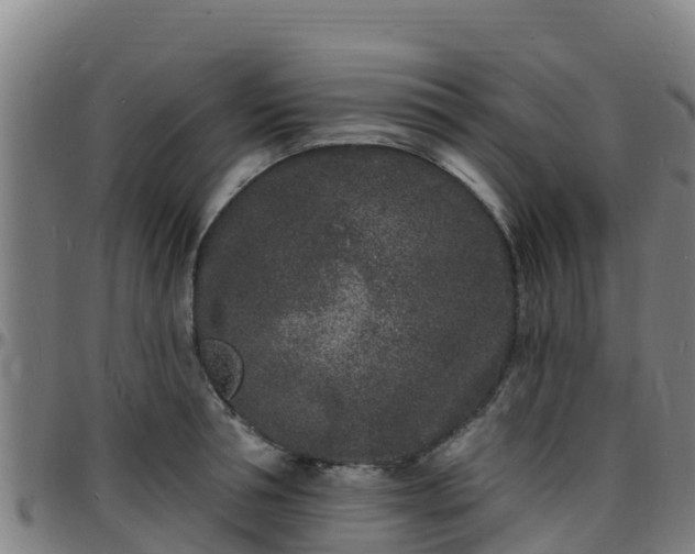 X0000096390994200801311317