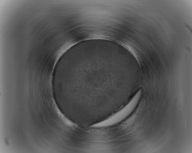 X0000096390995200801311317