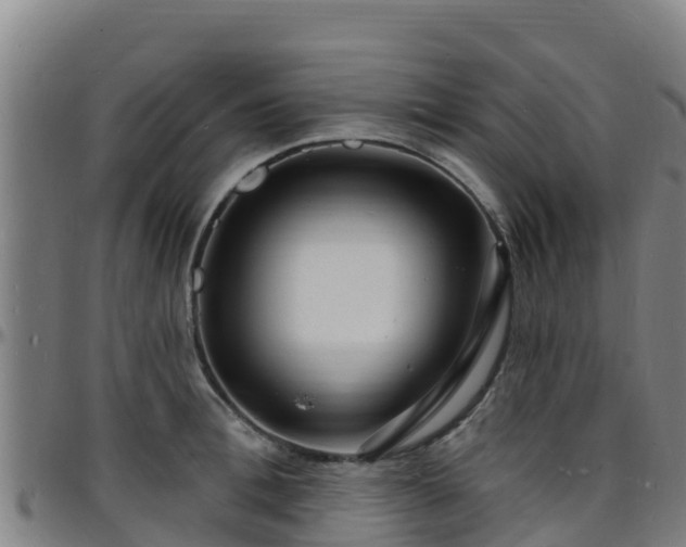 X0000096390996200801311317
