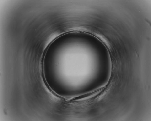 X0000096390999200801311317
