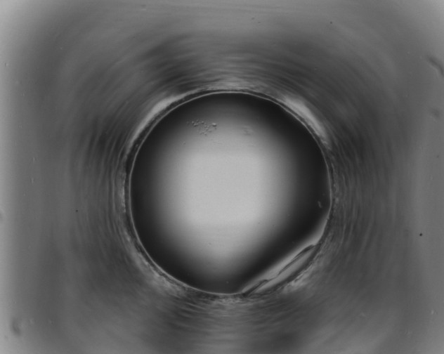 X0000096391000200801311317