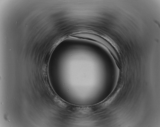 X0000096391001200801311317