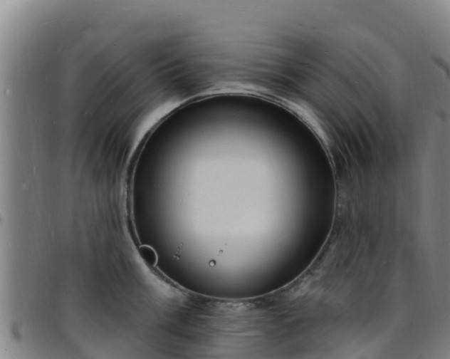 X0000096391003200801311317
