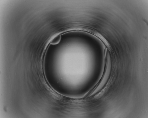 X0000096391004200801311317