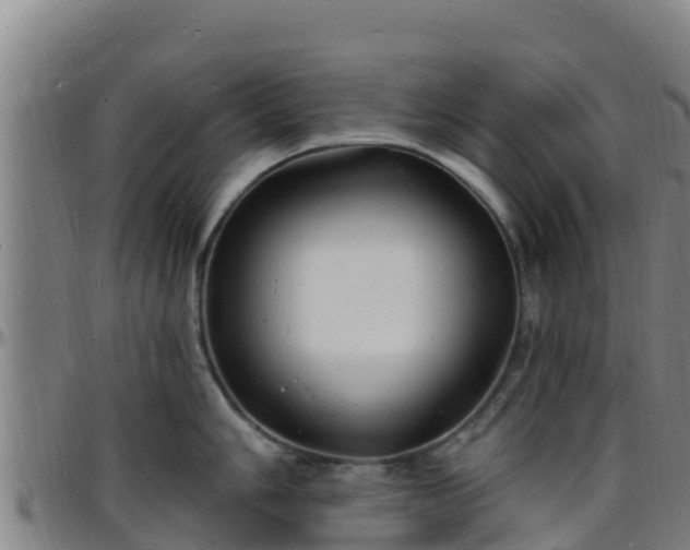 X0000096391006200801311317