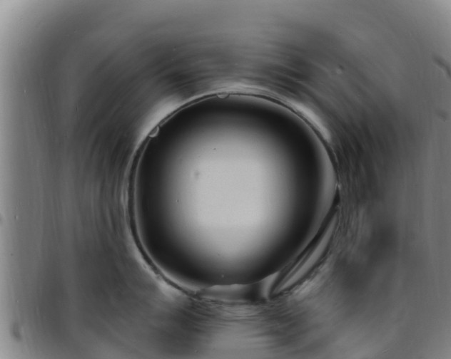 X0000096391007200801311317