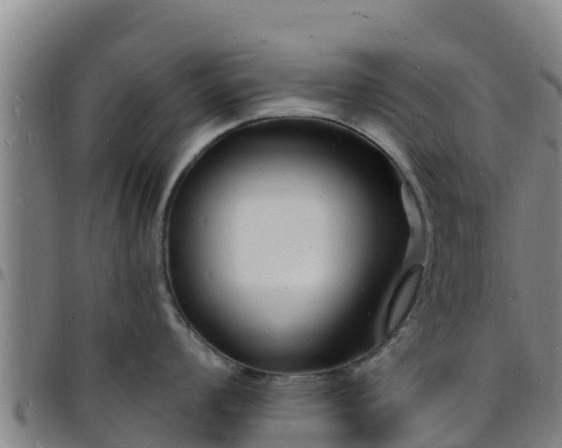 X0000096391008200801311317