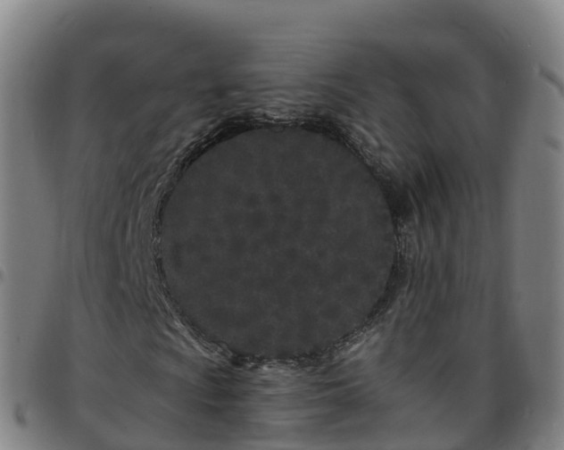 X0000096391009200801311316