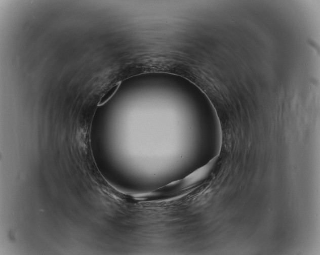 X0000096391010200801311316
