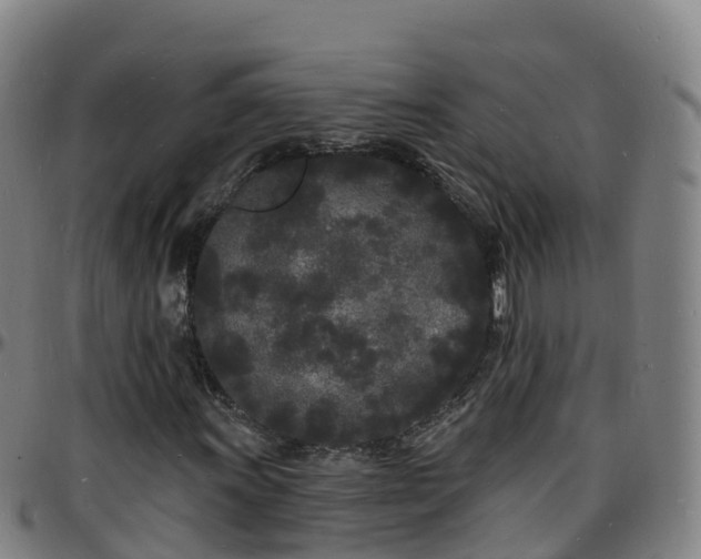 X0000096391011200801311316