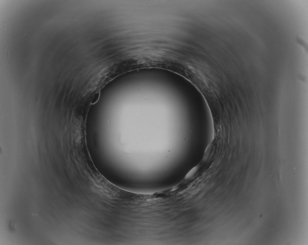 X0000096391012200801311316