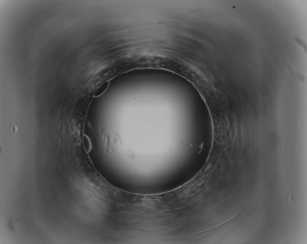 X0000096391013200801311316