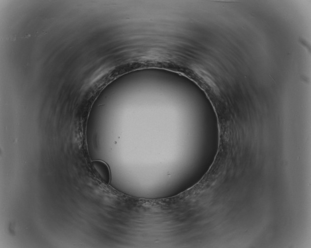 X0000096391015200801311316