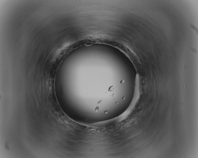 X0000096391016200801311316