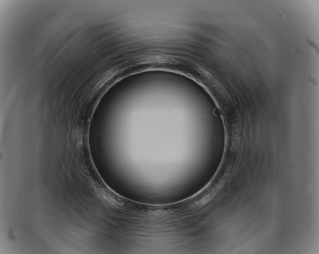 X0000096391017200801311316