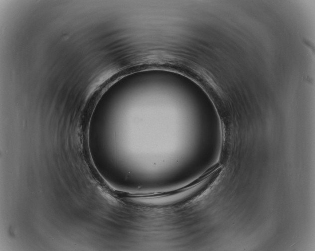 X0000096391018200801311316